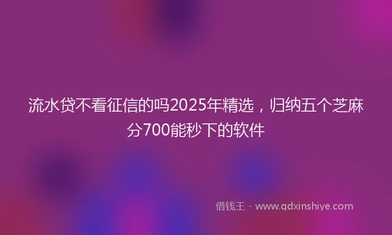 流水贷不看征信的吗2025年精选，归纳五个芝麻分700能秒下的软件