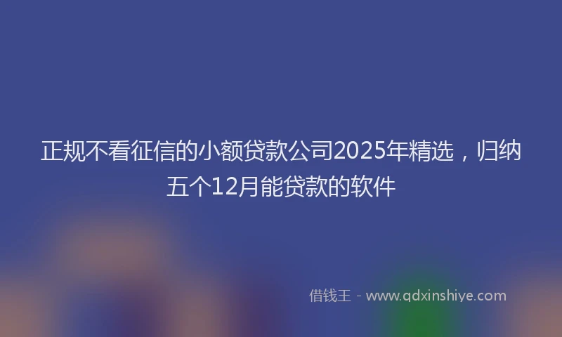 正规不看征信的小额贷款公司2025年精选，归纳五个12月能贷款的软件