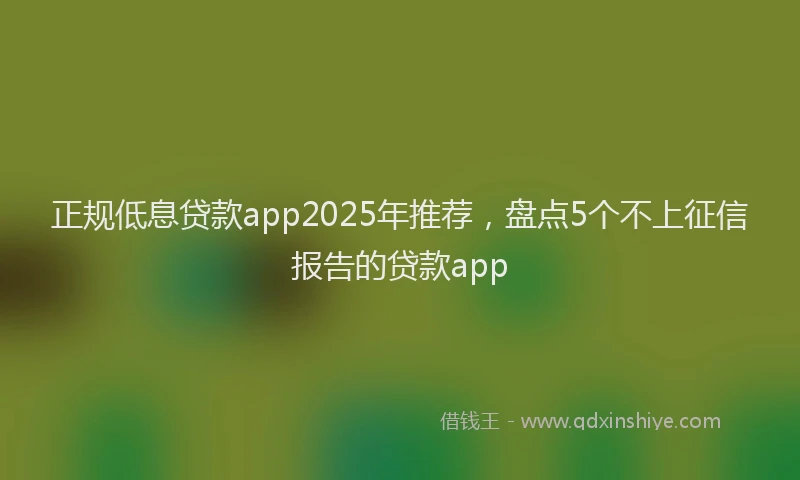 正规低息贷款app2025年推荐，盘点5个不上征信报告的贷款app