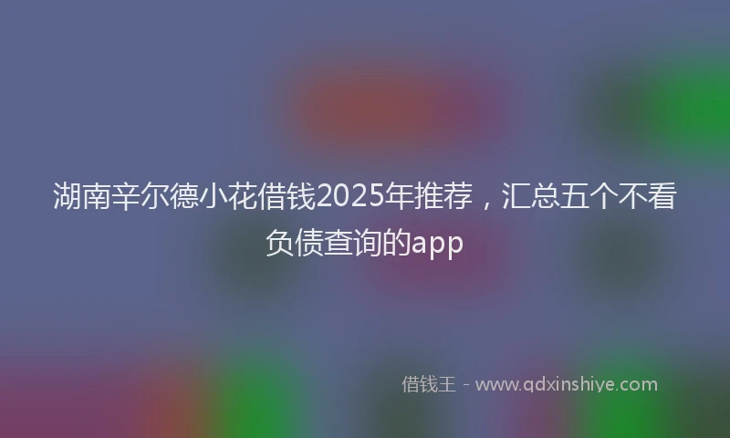 湖南辛尔德小花借钱2025年推荐，汇总五个不看负债查询的app