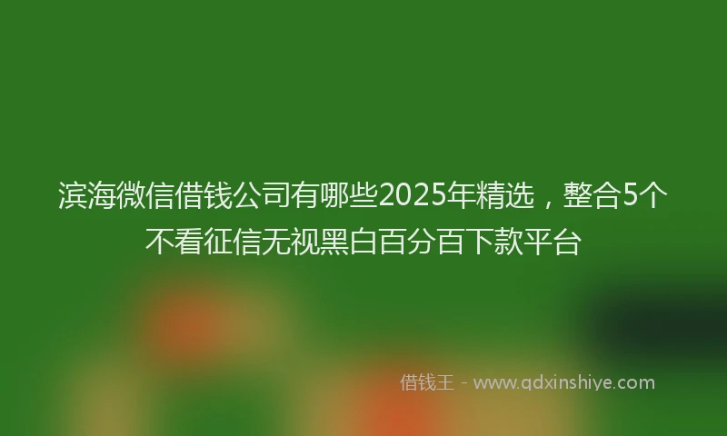 滨海微信借钱公司有哪些2025年精选，整合5个不看征信无视黑白百分百下款平台