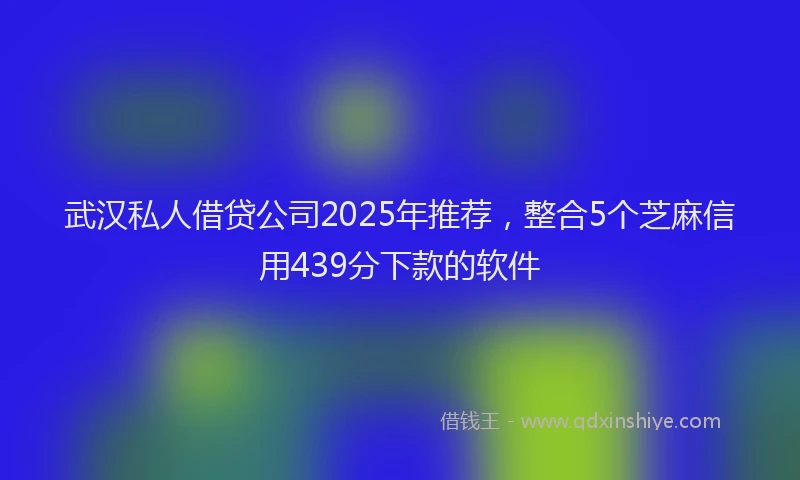 武汉私人借贷公司2025年推荐，整合5个芝麻信用439分下款的软件