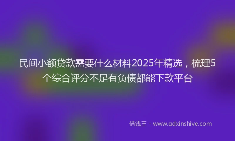 民间小额贷款需要什么材料2025年精选，梳理5个综合评分不足有负债都能下款平台