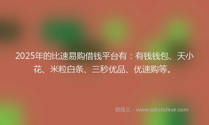 2025年的比速易购借钱平台有：有钱钱包、天小花、米粒白条、三秒优品、优速购等。