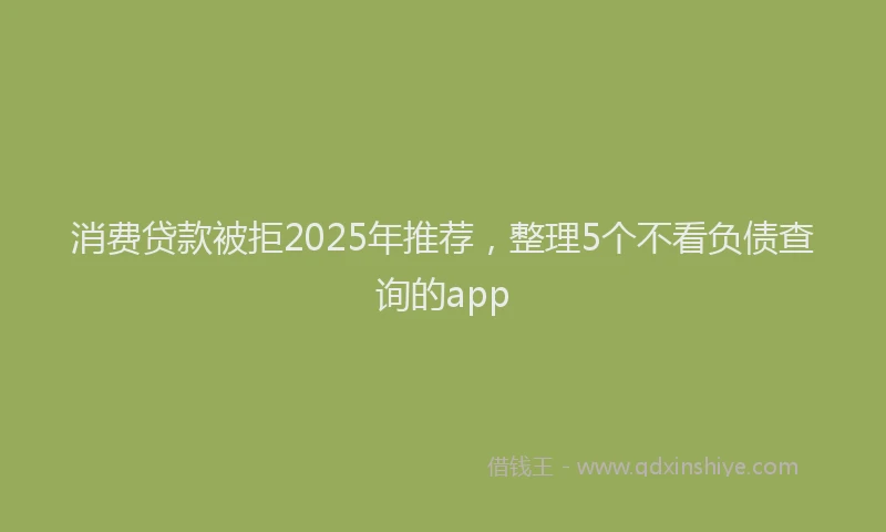 消费贷款被拒2025年推荐，整理5个不看负债查询的app