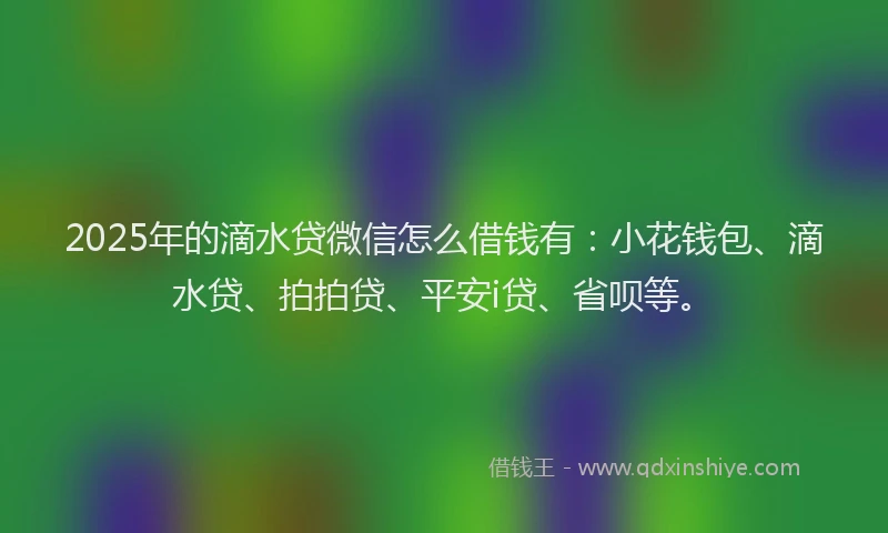 2025年的滴水贷微信怎么借钱有：小花钱包、滴水贷、拍拍贷、平安i贷、省呗等。