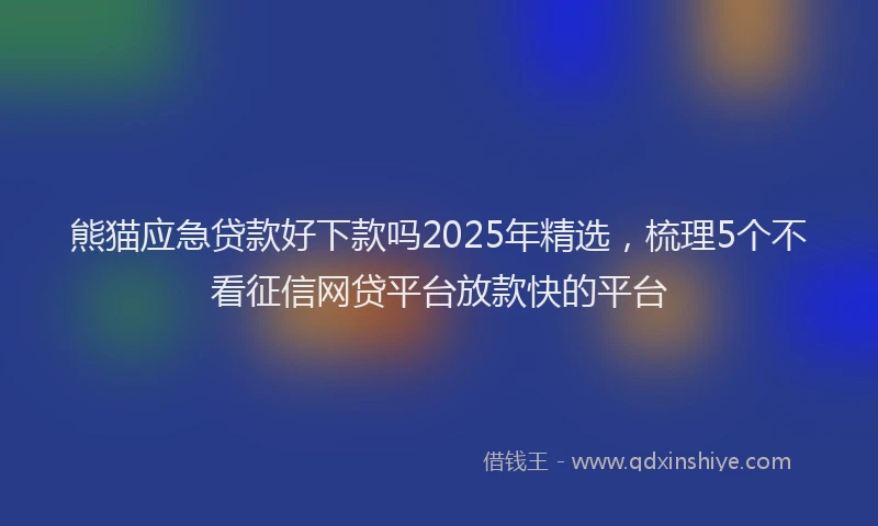 熊猫应急贷款好下款吗2025年精选，梳理5个不看征信网贷平台放款快的平台