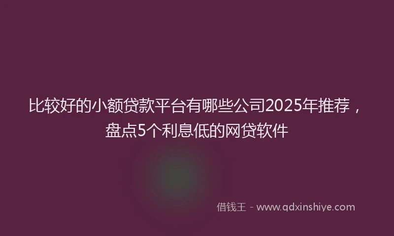 比较好的小额贷款平台有哪些公司2025年推荐，盘点5个利息低的网贷软件