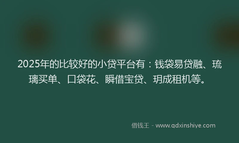 2025年的比较好的小贷平台有：钱袋易贷融、琉璃买单、口袋花、瞬借宝贷、玥成租机等。