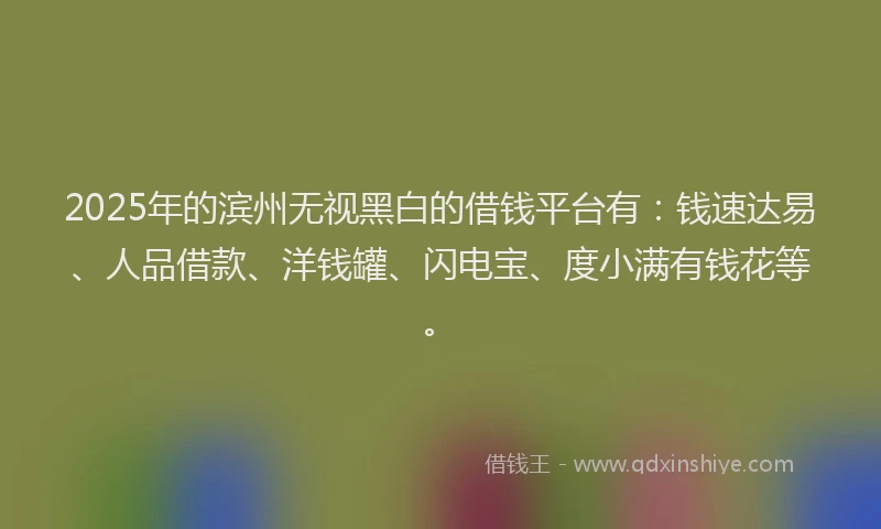 2025年的滨州无视黑白的借钱平台有：钱速达易、人品借款、洋钱罐、闪电宝、度小满有钱花等。
