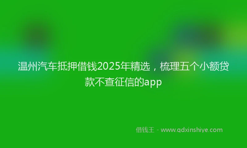 温州汽车抵押借钱2025年精选，梳理五个小额贷款不查征信的app