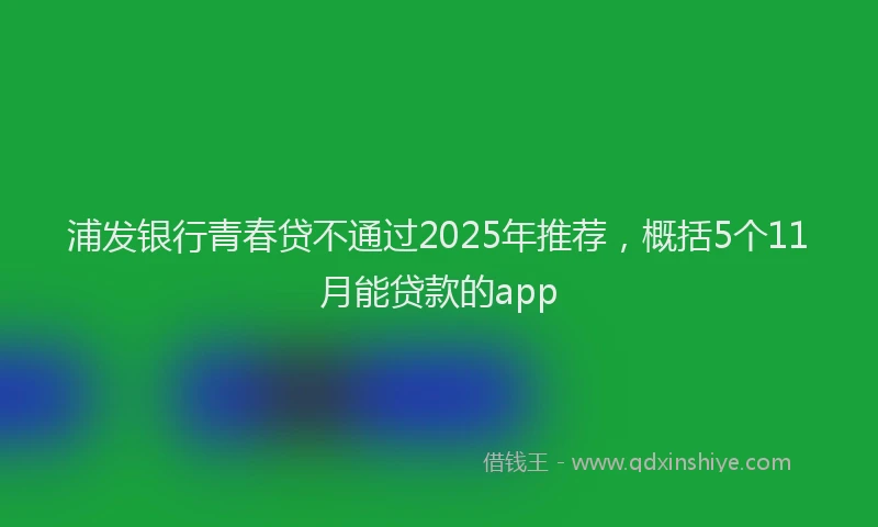 浦发银行青春贷不通过2025年推荐，概括5个11月能贷款的app