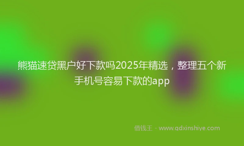熊猫速贷黑户好下款吗2025年精选，整理五个新手机号容易下款的app