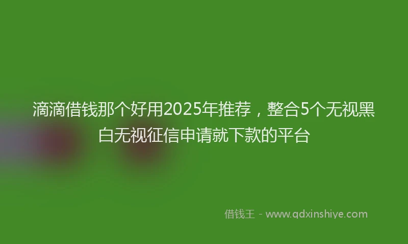 滴滴借钱那个好用2025年推荐，整合5个无视黑白无视征信申请就下款的平台