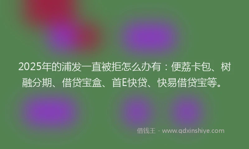 2025年的浦发一直被拒怎么办有：便荔卡包、树融分期、借贷宝盒、首E快贷、快易借贷宝等。