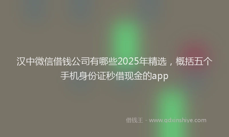 汉中微信借钱公司有哪些2025年精选，概括五个手机身份证秒借现金的app