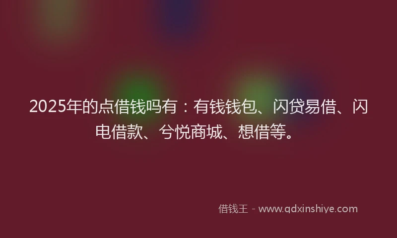 2025年的点借钱吗有：有钱钱包、闪贷易借、闪电借款、兮悦商城、想借等。