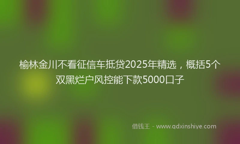 榆林金川不看征信车抵贷2025年精选，概括5个双黑烂户风控能下款5000口子