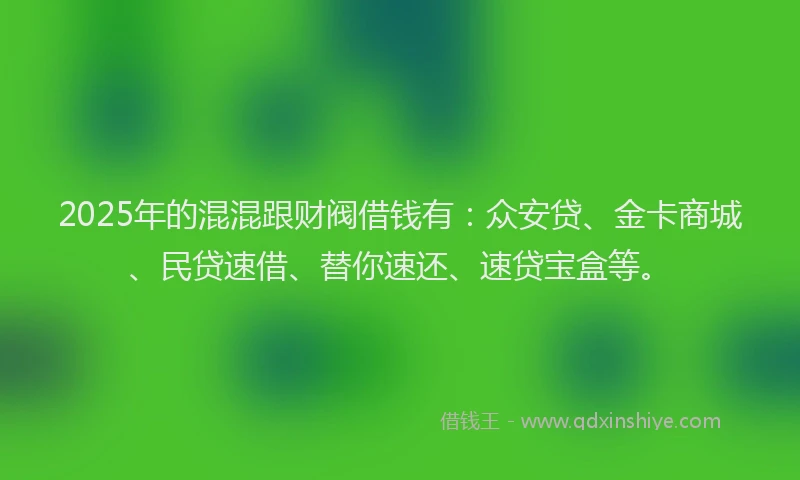 2025年的混混跟财阀借钱有：众安贷、金卡商城、民贷速借、替你速还、速贷宝盒等。