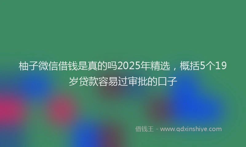 柚子微信借钱是真的吗2025年精选，概括5个19岁贷款容易过审批的口子