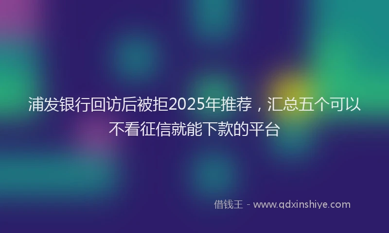 浦发银行回访后被拒2025年推荐，汇总五个可以不看征信就能下款的平台