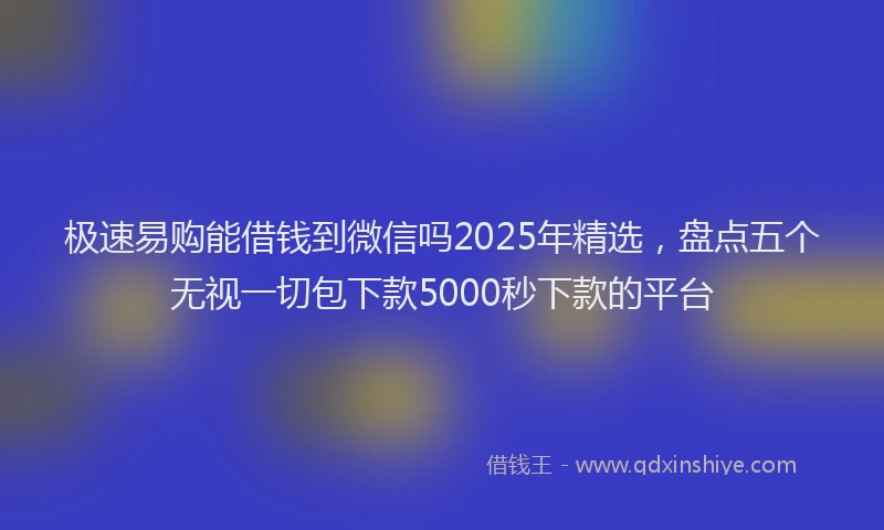 极速易购能借钱到微信吗2025年精选，盘点五个无视一切包下款5000秒下款的平台