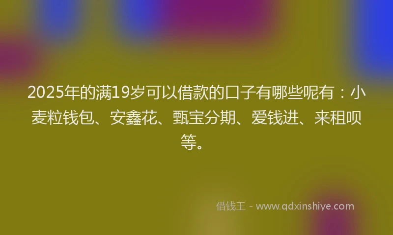 2025年的满19岁可以借款的口子有哪些呢有：小麦粒钱包、安鑫花、甄宝分期、爱钱进、来租呗等。