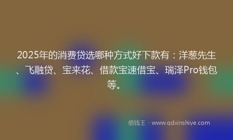 2025年的消费贷选哪种方式好下款有：洋葱先生、飞融贷、宝来花、借款宝速借宝、瑞泽Pro钱包等。