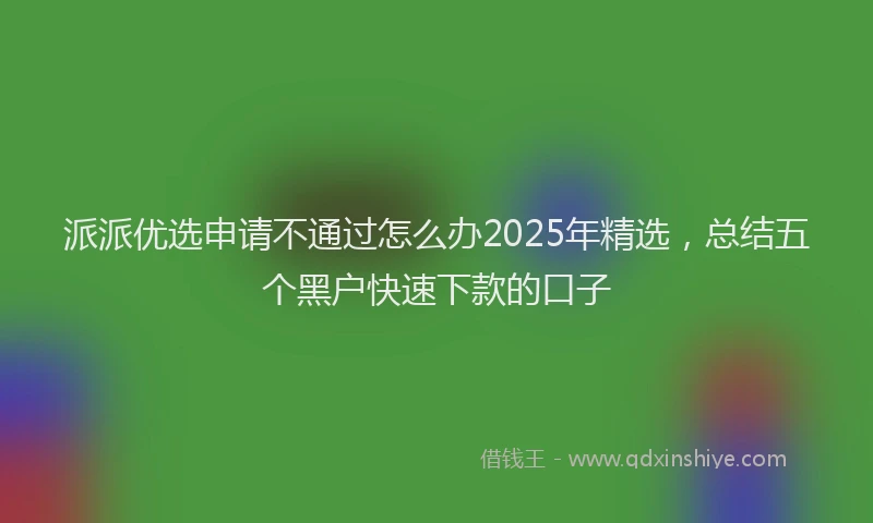 派派优选申请不通过怎么办2025年精选，总结五个黑户快速下款的口子