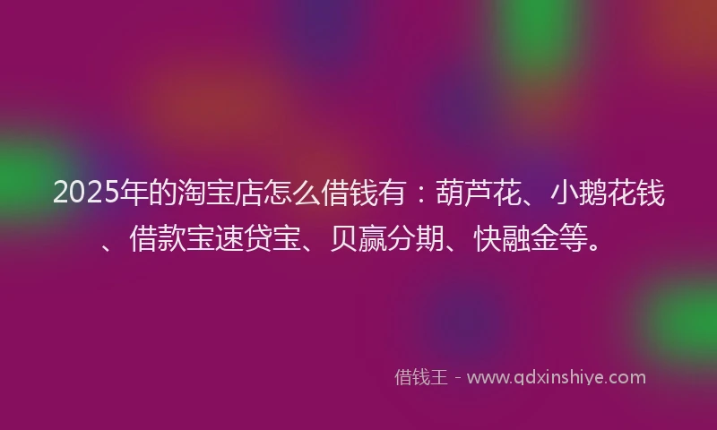 2025年的淘宝店怎么借钱有：葫芦花、小鹅花钱、借款宝速贷宝、贝赢分期、快融金等。