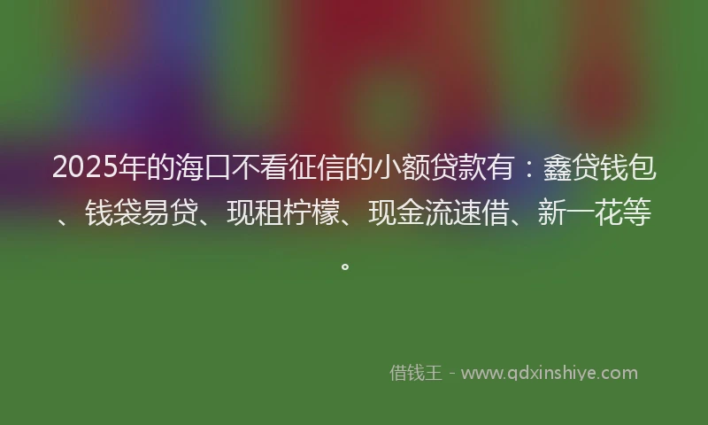 2025年的海口不看征信的小额贷款有：鑫贷钱包、钱袋易贷、现租柠檬、现金流速借、新一花等。