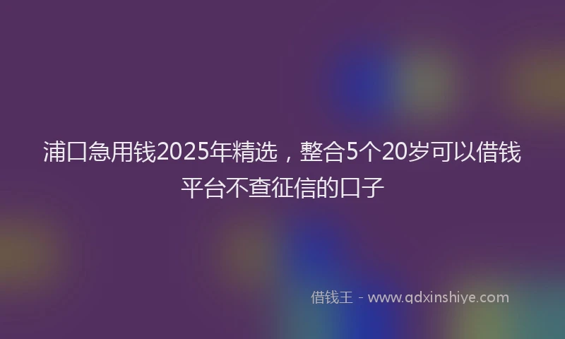 浦口急用钱2025年精选，整合5个20岁可以借钱平台不查征信的口子