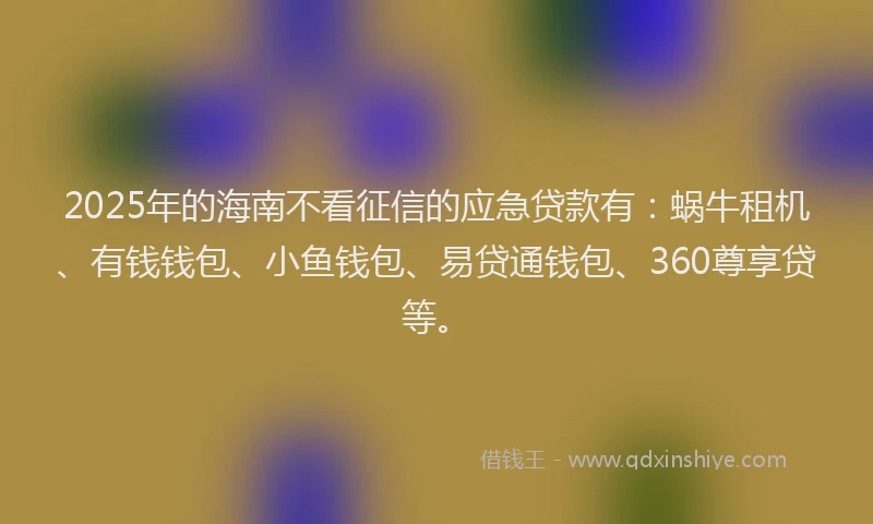 2025年的海南不看征信的应急贷款有：蜗牛租机、有钱钱包、小鱼钱包、易贷通钱包、360尊享贷等。