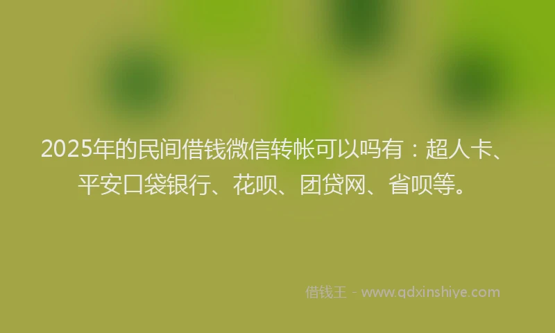 2025年的民间借钱微信转帐可以吗有：超人卡、平安口袋银行、花呗、团贷网、省呗等。