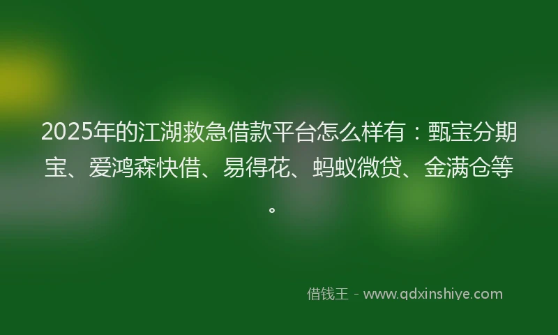 2025年的江湖救急借款平台怎么样有：甄宝分期宝、爱鸿森快借、易得花、蚂蚁微贷、金满仓等。