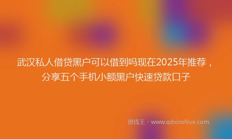 武汉私人借贷黑户可以借到吗现在2025年推荐，分享五个手机小额黑户快速贷款口子