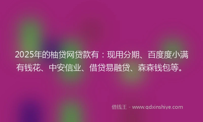 2025年的柚贷网贷款有：现用分期、百度度小满有钱花、中安信业、借贷易融贷、森森钱包等。