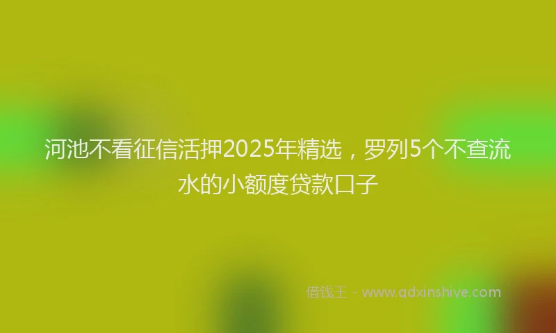 河池不看征信活押2025年精选，罗列5个不查流水的小额度贷款口子
