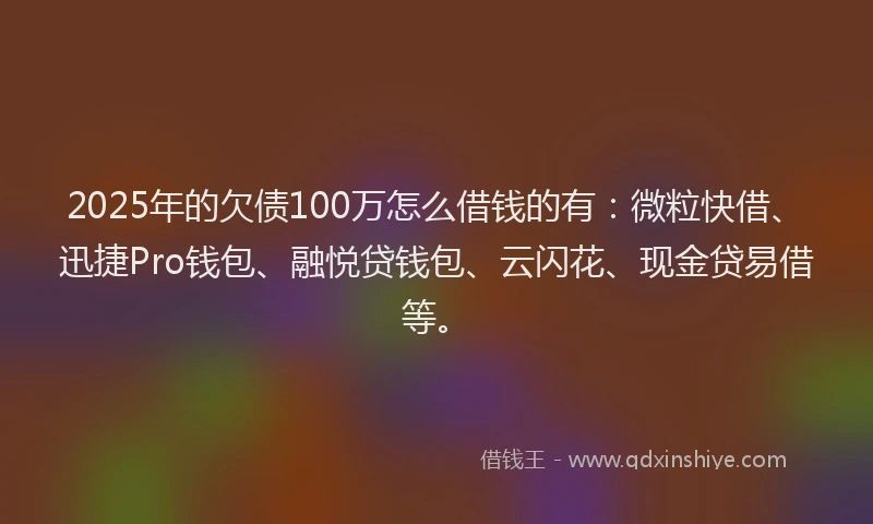 2025年的欠债100万怎么借钱的有：微粒快借、迅捷Pro钱包、融悦贷钱包、云闪花、现金贷易借等。