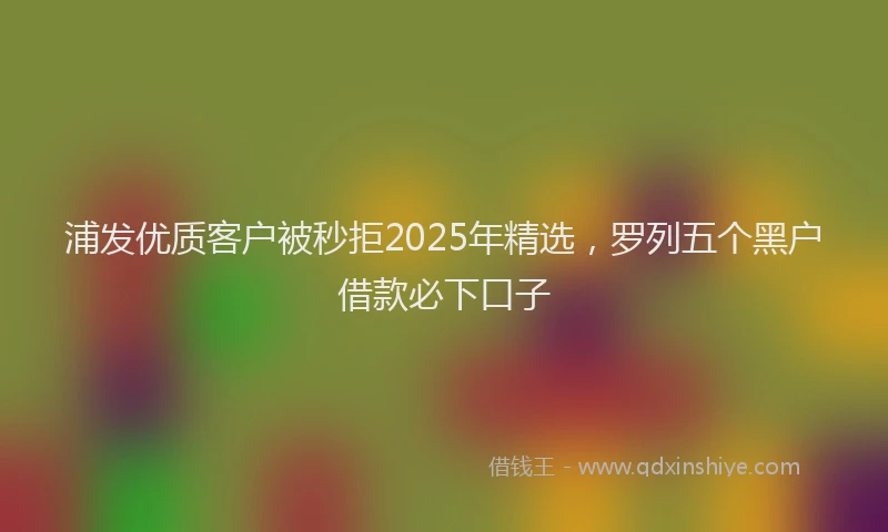 浦发优质客户被秒拒2025年精选，罗列五个黑户借款必下口子