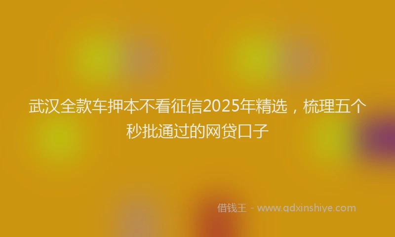 武汉全款车押本不看征信2025年精选，梳理五个秒批通过的网贷口子