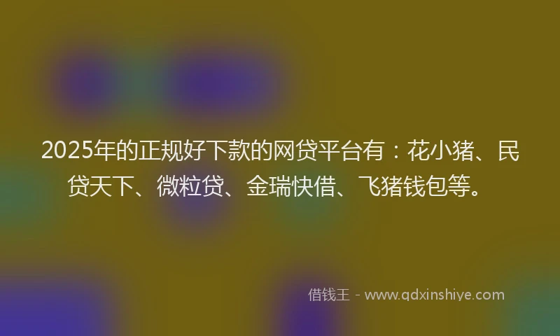 2025年的正规好下款的网贷平台有：花小猪、民贷天下、微粒贷、金瑞快借、飞猪钱包等。