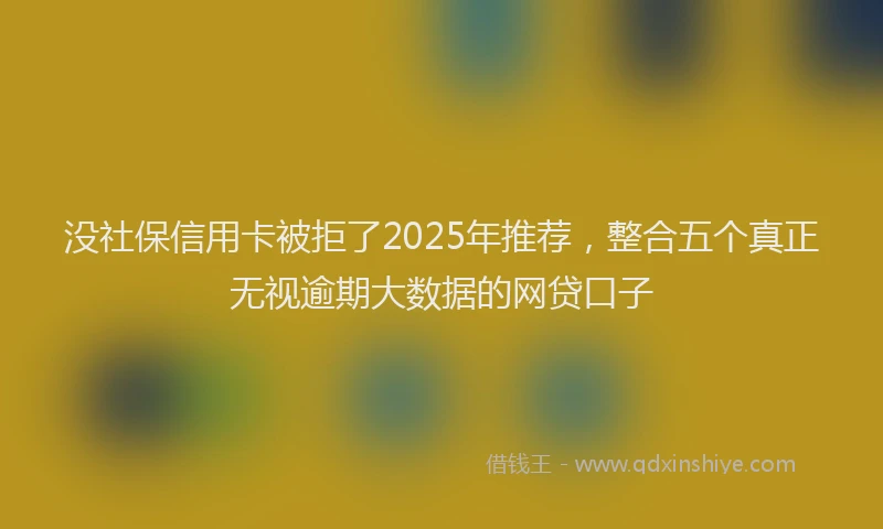 没社保信用卡被拒了2025年推荐，整合五个真正无视逾期大数据的网贷口子