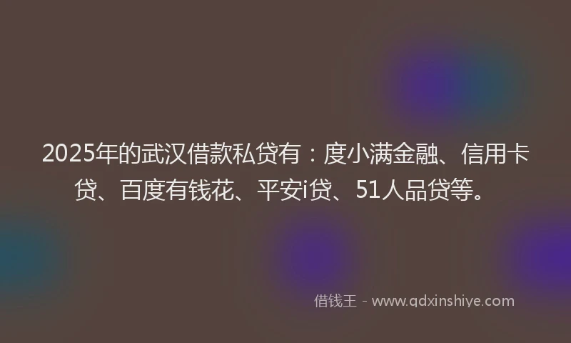 2025年的武汉借款私贷有：度小满金融、信用卡贷、百度有钱花、平安i贷、51人品贷等。