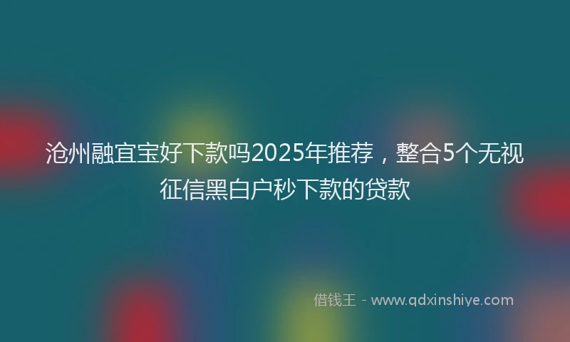 沧州融宜宝好下款吗2025年推荐，整合5个无视征信黑白户秒下款的贷款