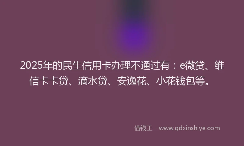 2025年的民生信用卡办理不通过有：e微贷、维信卡卡贷、滴水贷、安逸花、小花钱包等。