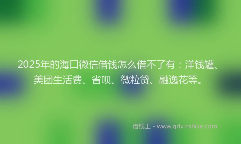 2025年的海口微信借钱怎么借不了有：洋钱罐、美团生活费、省呗、微粒贷、融逸花等。