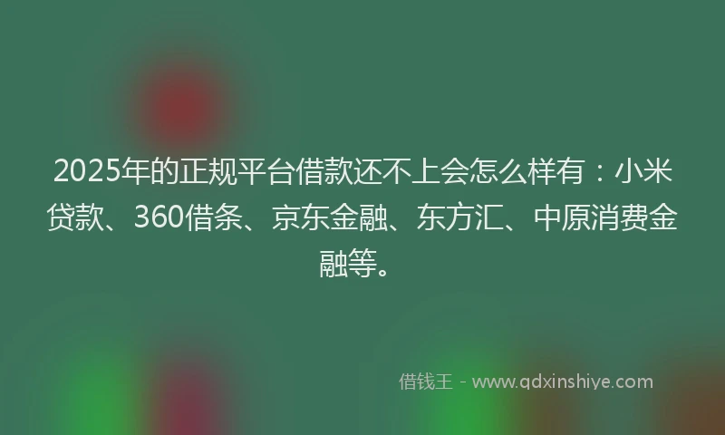 2025年的正规平台借款还不上会怎么样有：小米贷款、360借条、京东金融、东方汇、中原消费金融等。