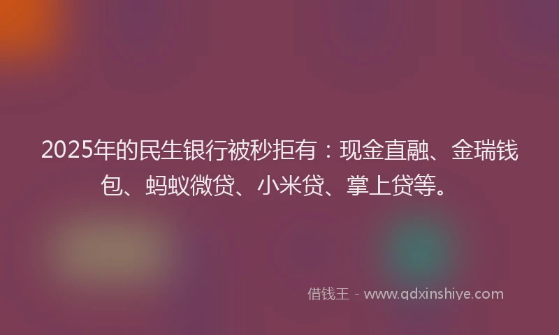 2025年的民生银行被秒拒有：现金直融、金瑞钱包、蚂蚁微贷、小米贷、掌上贷等。