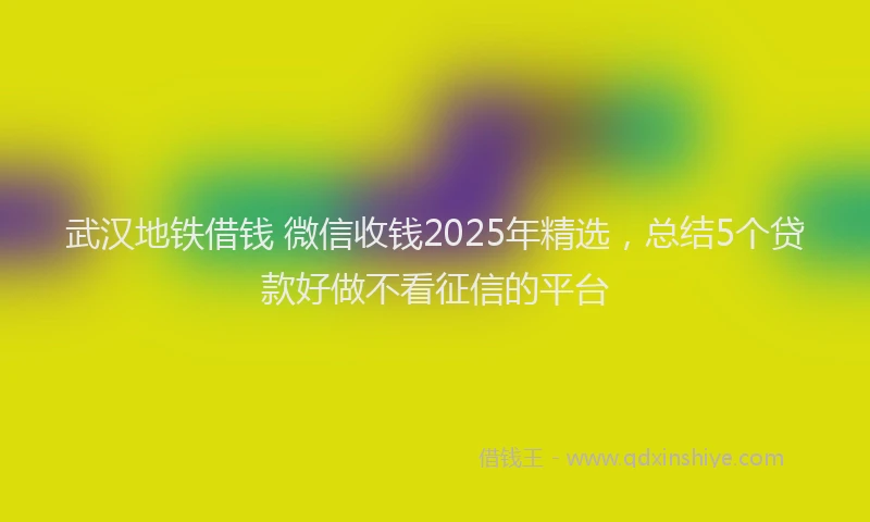 武汉地铁借钱 微信收钱2025年精选，总结5个贷款好做不看征信的平台